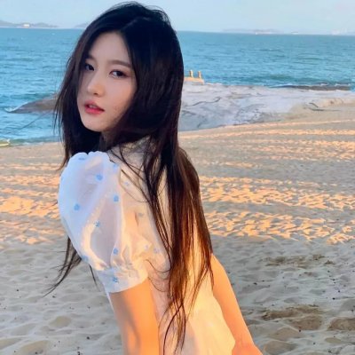 女友的秘密封面